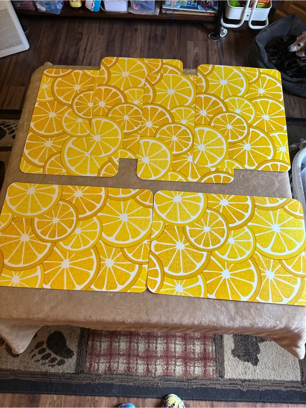Hobby Lobby REVERSIBLE Yellow Lemon Slice Placemats Set OF 6